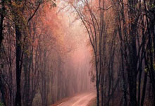 重庆市渝中、大渡口、江北、沙坪坝、九龙坡、南岸区安装联通宽带活动