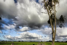 无限改手机串码营业厅激活匹配跑流量支持700兆5G微信抖音八开 市场价：￥1429.9 抢购价：￥799