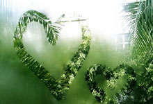 号卡新手推广号卡如何快速出单？简单两步轻松拿捏